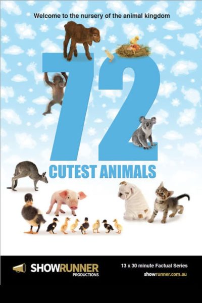 72 Cutest Animals-poster