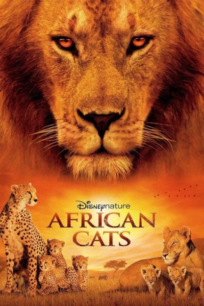 African Cats-poster