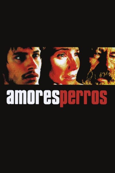 Amores Perros-poster