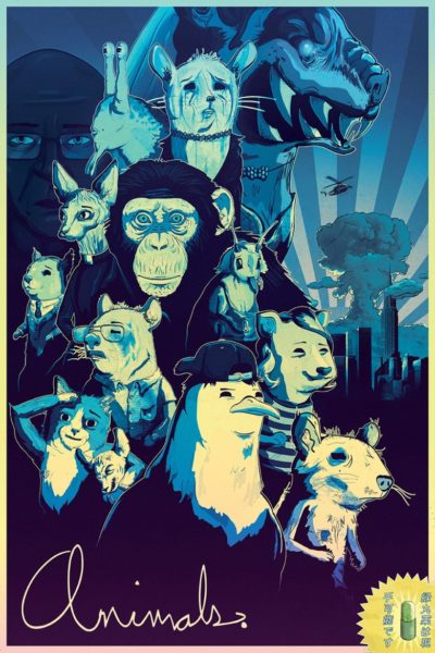 Animals.-poster