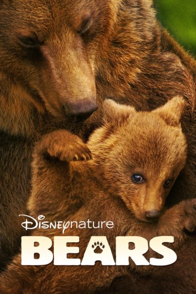 Bears-poster