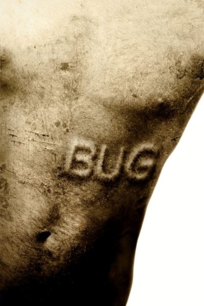 Bug-poster
