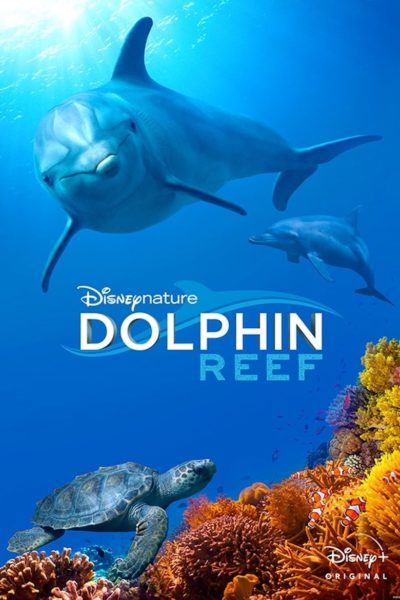 Dolphin Reef-poster