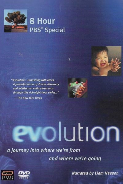 Evolution-poster