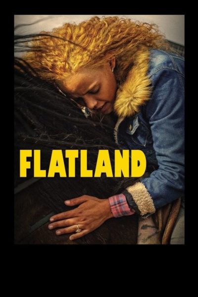 Flatland-poster