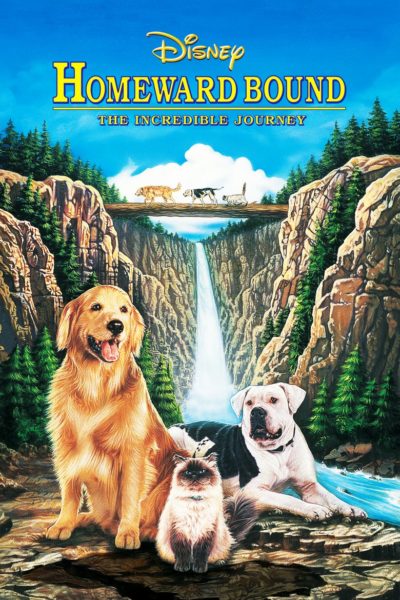 Homeward Bound: The Incredible Journey-poster