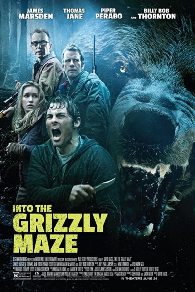 Into the Grizzly Maze-poster