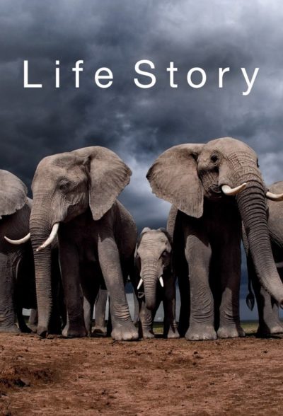 Life Story-poster