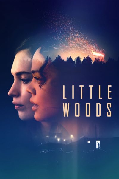 Little Woods-poster