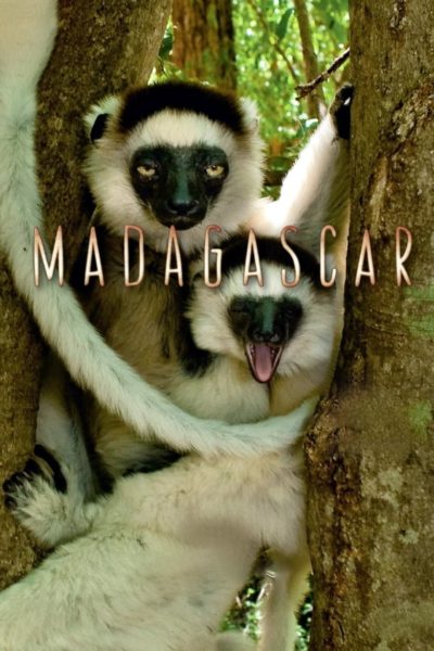 Madagascar-poster