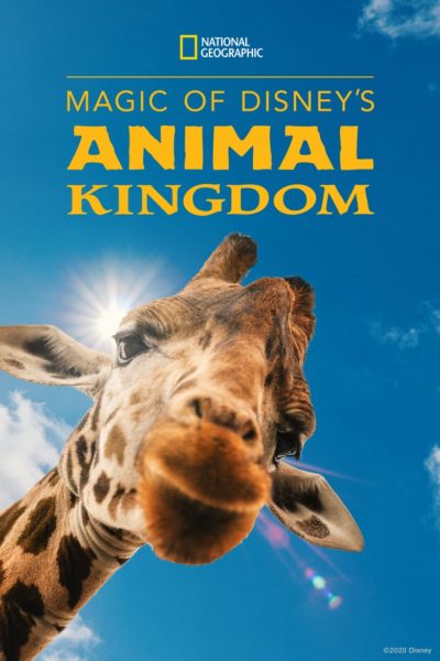 Magic of Disney’s Animal Kingdom-poster