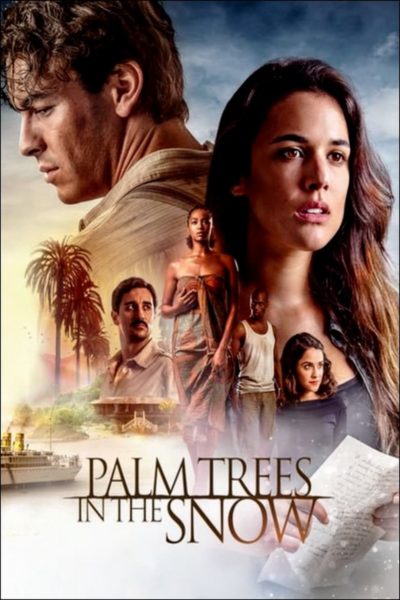 Palm Trees in the Snow-poster