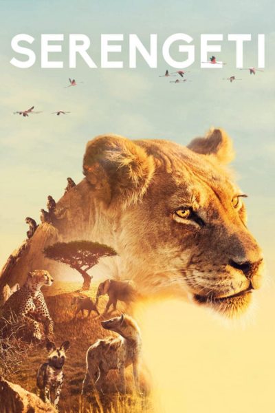 Serengeti-poster