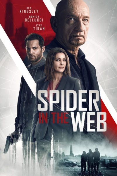 Spider in the Web-poster