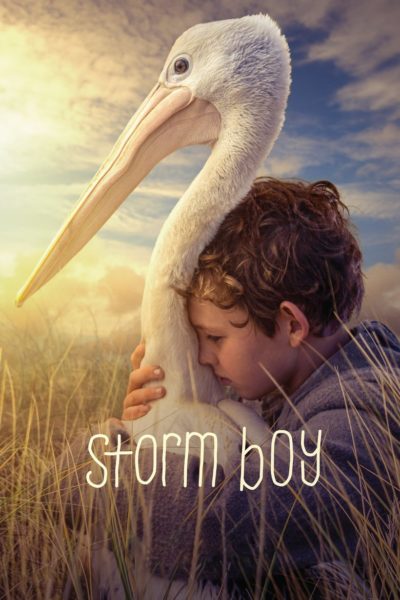 Storm Boy-poster