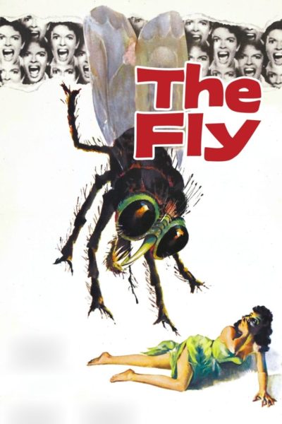 The Fly-poster