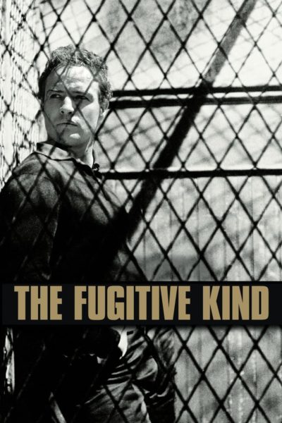 The Fugitive Kind-poster