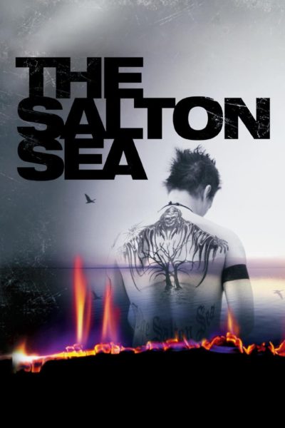 The Salton Sea-poster