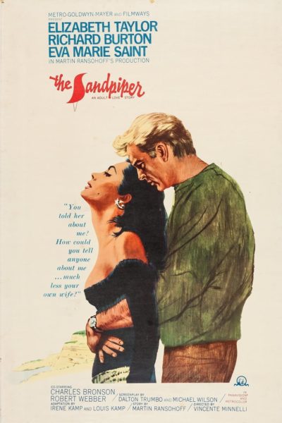 The Sandpiper-poster