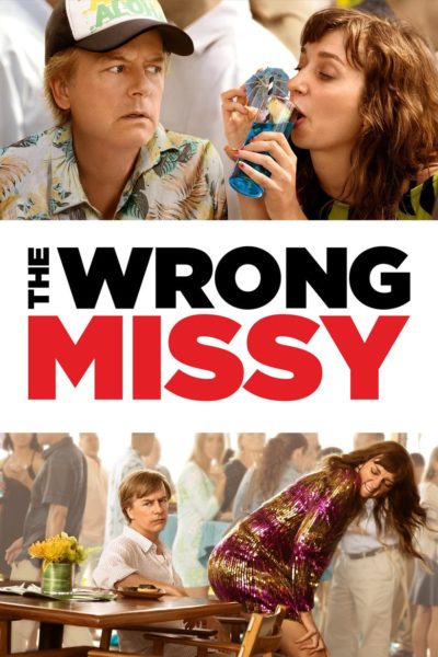 The Wrong Missy-poster
