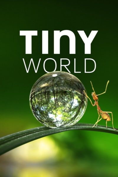 Tiny World-poster
