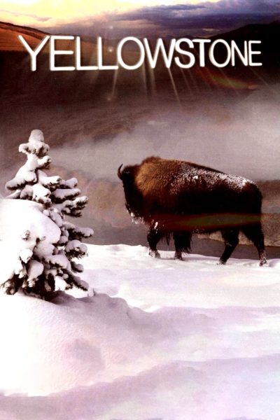 Yellowstone-poster