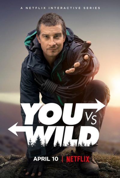 You vs. Wild-poster