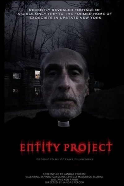 Entity Project-poster-2019