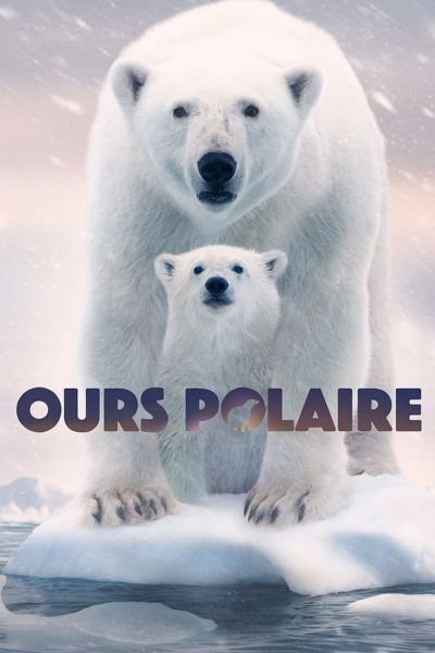 Ours polaire-poster-2022-1651063261