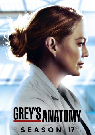 Grey’s Anatomy – Saison 17-poster-fr-