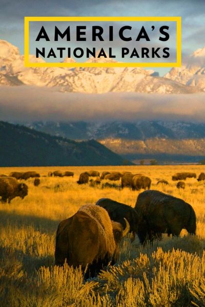 America’s National Parks-poster-2015-1659064237