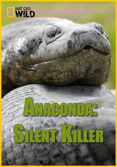 Anaconda: Silent Killer-poster-2014-1658793107