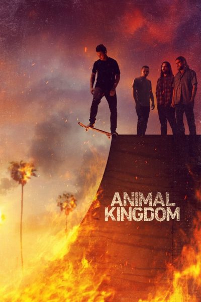 Animal Kingdom-poster-2016-1657706656