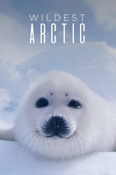 Arctic With Bruce Parry-poster-2011-1659038816