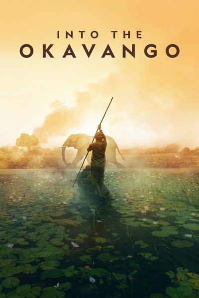 Au coeur de l’Okavango-poster-2018-1658948727