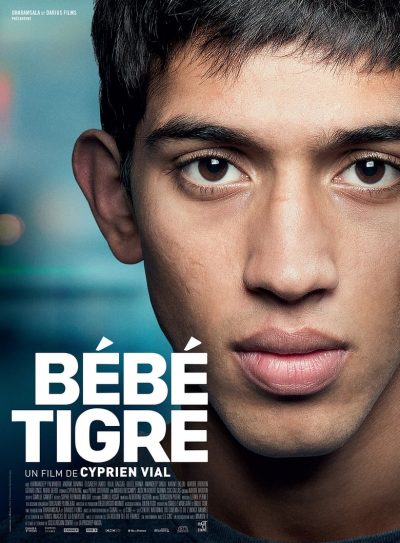 Bébé tigre-poster-2015-1658836122