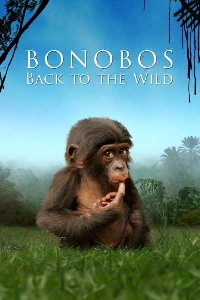 Bonobos-poster-2011-1658753099