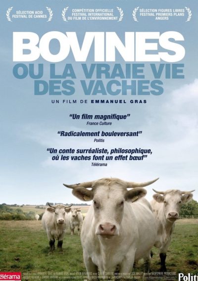 Bovines-poster-2012-1658762634