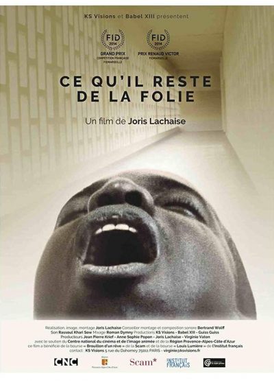 Ce qu’il reste de la folie-poster-2014-1658825991