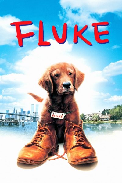 Fluke-poster-1995-1658657950