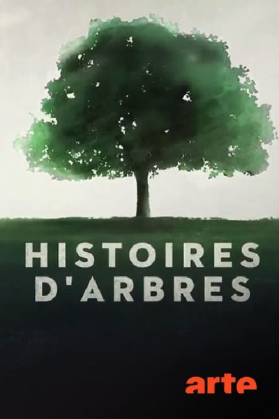 Histoires d’arbres-poster-2015-1659064361