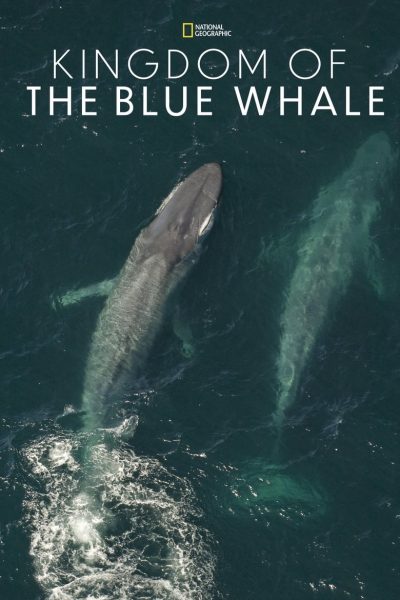 Kingdom of the Blue Whale-poster-2009-1658730336