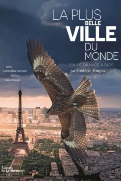 La Plus Belle Ville du monde-poster-2017-1658941922