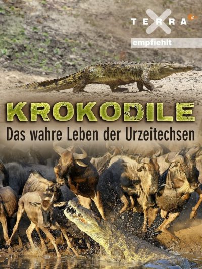 La vie privée des crocodiles-poster-2011-1658750189