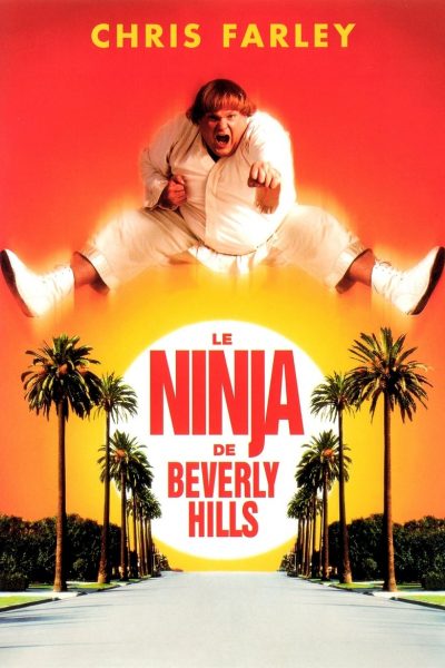 Le Ninja de Beverly Hills-poster-1997-1658665145
