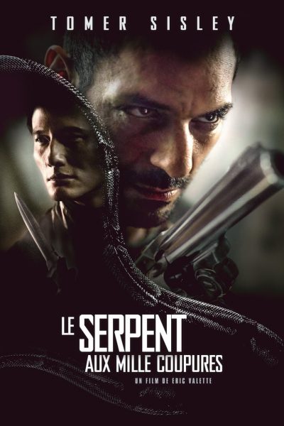 Le Serpent aux mille coupures-poster-2017-1658941724