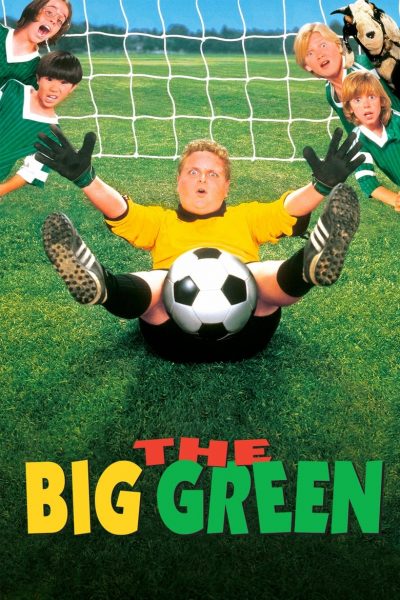 Le grand vert-poster-1995-1658658056