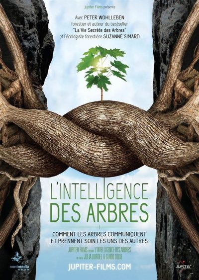 L’intelligence des Arbres-poster-2017-1658941544