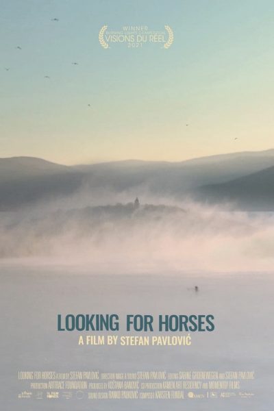 Looking for Horses-poster-2021-1659015032