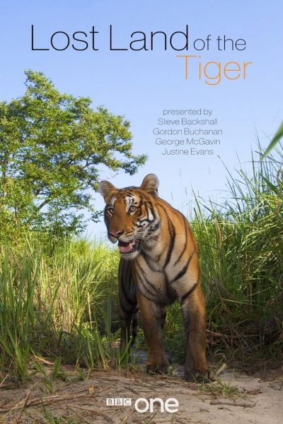 Lost Land of the Tiger-poster-2010-1659038874